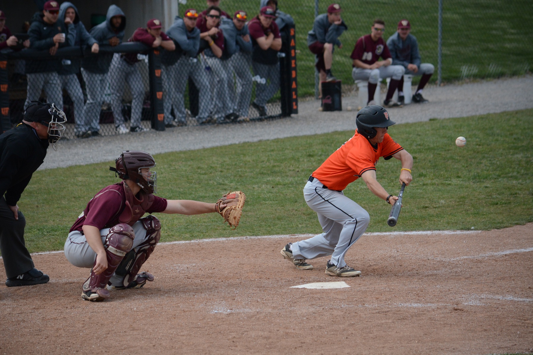 Bats Go Cold Against Walsh