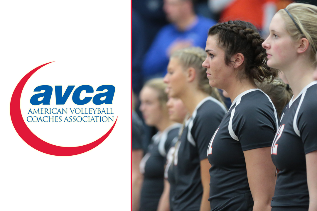 Volleyball Receives AVCA Academic Award