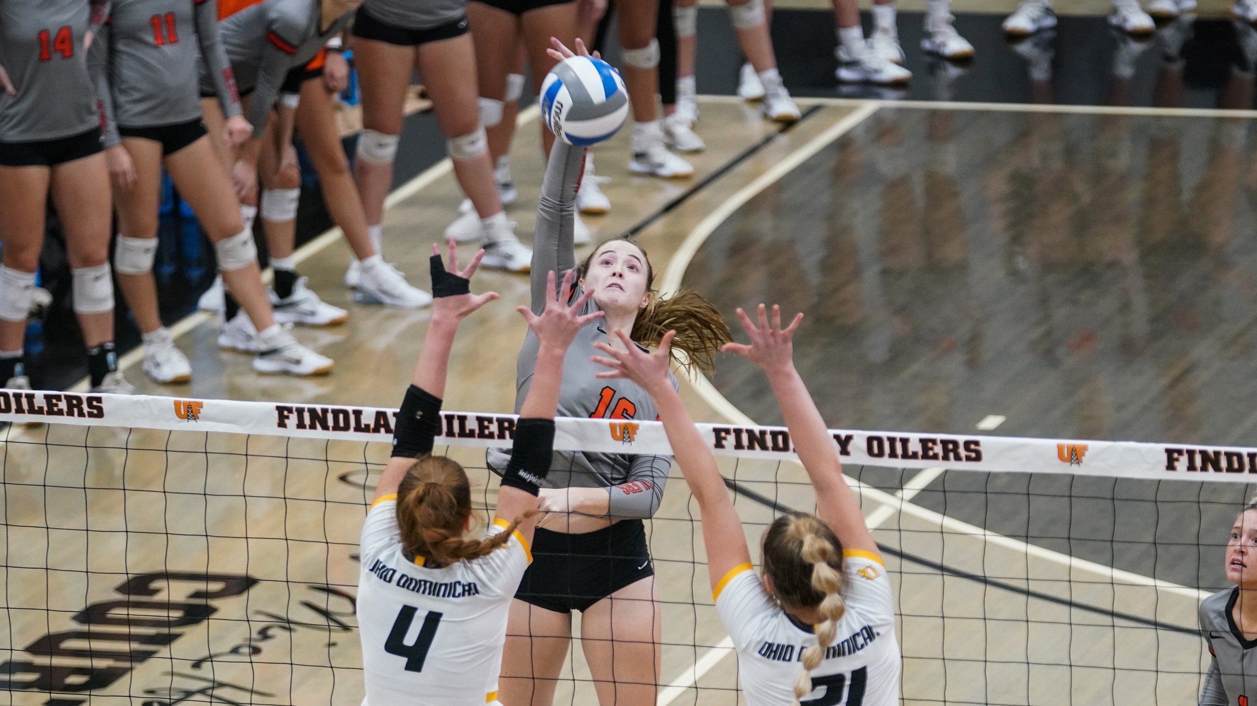 Findlay Loses 5 set Grudge Match to Cedarville.